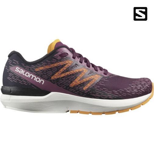 Sapatilhas de Corrida Salomon Sonic 5 Balance Feminino Bordeaux | PT F42571